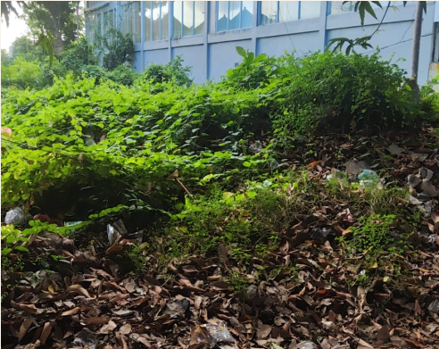 Land Lease - Puputan Renon Main Road